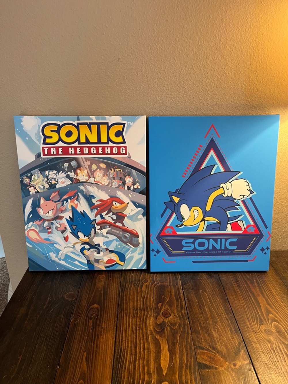 Sonic The Hedgehog Blue Canvas Wall Art